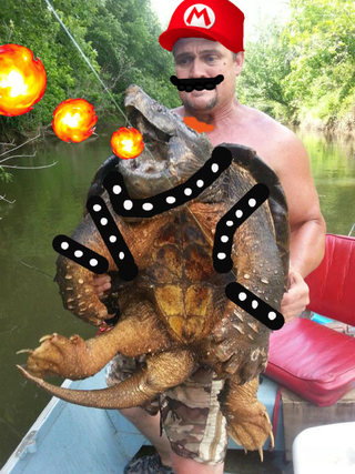 Illustration for article titled The Butchershop: OK Fisherman Snags "Alligator Snapping Turtle"